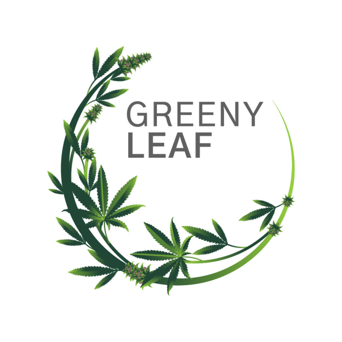 greeny leaf
